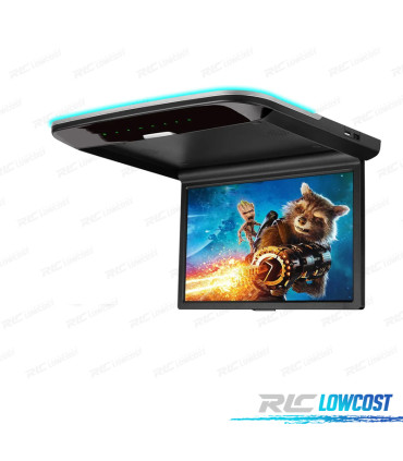 ÉCRAN DE TOIT PLAFOND 14" HD AV USB NOIR