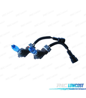 AMPOULES CÉRAMIQUE HOD H11 LUMIÈRE BLANCHE