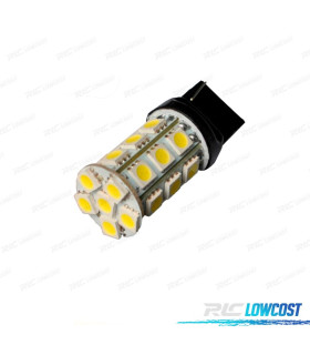 AMPOULE LED T20 -TYPE 19