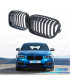 CALANDRES BMW F20 LCI 15-19 NOIR MATE
