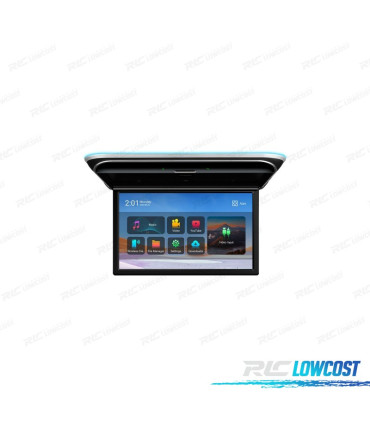 ÉCRAN DE TOIT FULL HD 17.3"