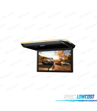 ÉCRAN DE TOIT FULL HD 17.3"