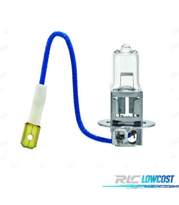 AMPOULE H3 12V 55W